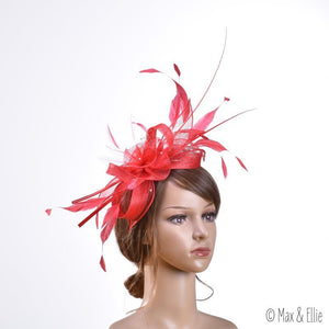 NEW - Max & Ellie - CF4 - FASCINATOR