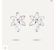 Load image into Gallery viewer, D&amp;X DE1133R - EARRING
