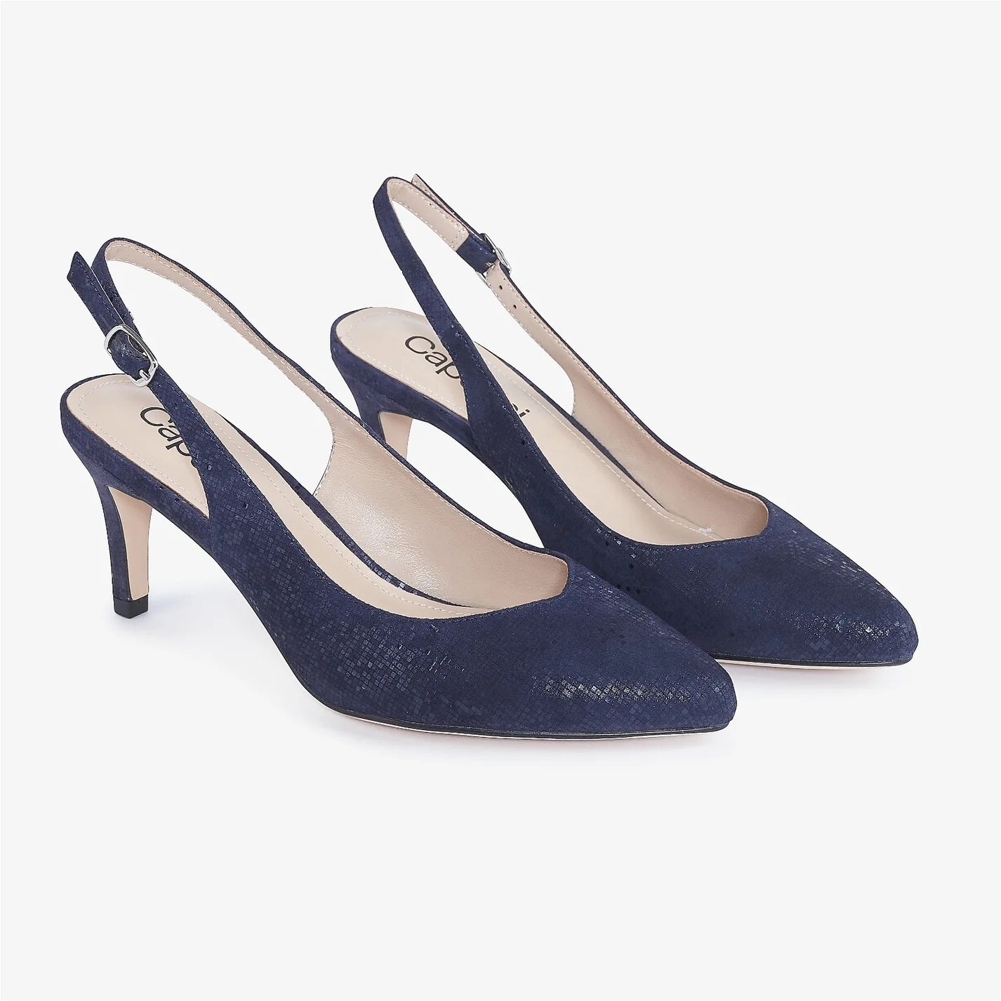 Capollini - Catherine 2 - Navy